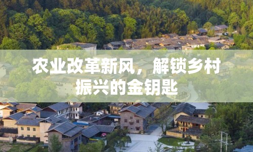 農(nóng)業(yè)改革新風(fēng)，解鎖鄉(xiāng)村振興的金鑰匙