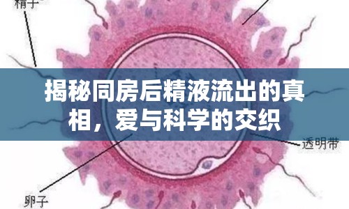 揭秘同房后精液流出的真相，愛與科學(xué)的交織