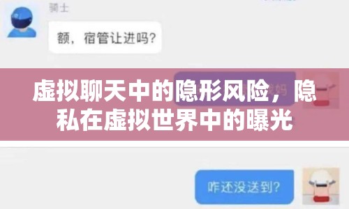 虛擬聊天中的隱形風(fēng)險，隱私在虛擬世界中的曝光