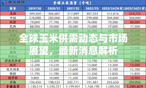 全球玉米供需動(dòng)態(tài)與市場(chǎng)展望，最新消息解析