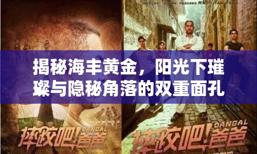 揭秘海豐黃金，陽光下璀璨與隱秘角落的雙重面孔