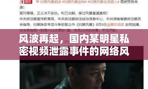 風波再起，國內(nèi)某明星私密視頻泄露事件的網(wǎng)絡(luò)風暴與反思