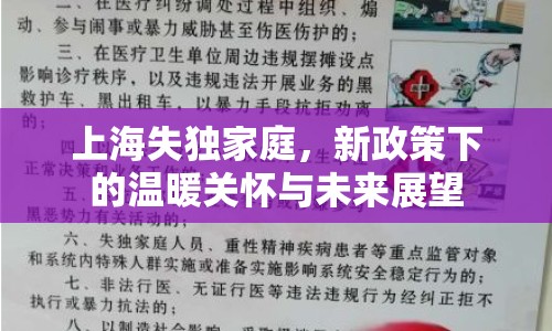 上海失獨家庭，新政策下的溫暖關懷與未來展望
