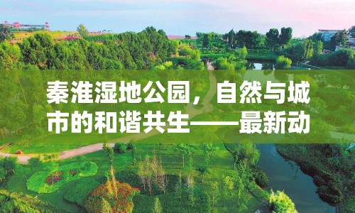 秦淮濕地公園，自然與城市的和諧共生——最新動(dòng)態(tài)與未來展望