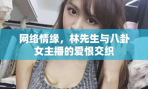 網(wǎng)絡(luò)情緣，林先生與八卦女主播的愛恨交織