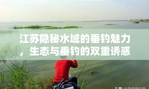 江蘇隱秘水域的垂釣魅力，生態(tài)與垂釣的雙重誘惑