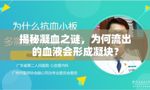 揭秘凝血之謎，為何流出的血液會形成凝塊？