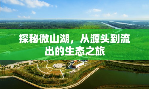 探秘微山湖，從源頭到流出的生態(tài)之旅