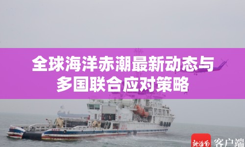 全球海洋赤潮最新動態(tài)與多國聯(lián)合應對策略
