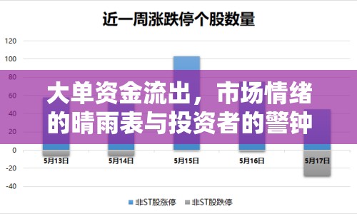 大單資金流出，市場情緒的晴雨表與投資者的警鐘