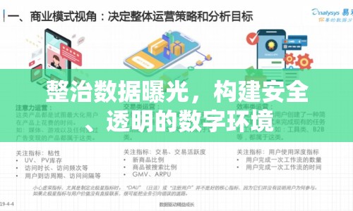 整治數(shù)據(jù)曝光，構(gòu)建安全、透明的數(shù)字環(huán)境