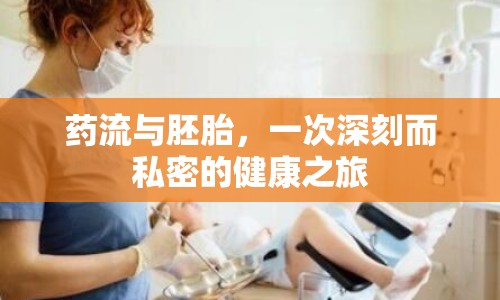 藥流與胚胎，一次深刻而私密的健康之旅