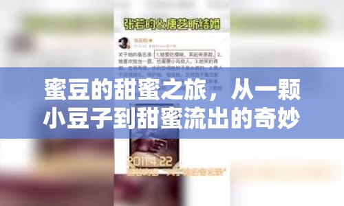 蜜豆的甜蜜之旅，從一顆小豆子到甜蜜流出的奇妙旅程