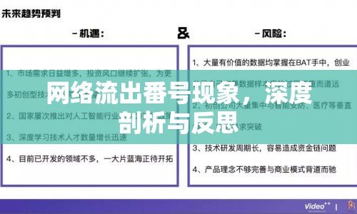 網(wǎng)絡(luò)流出番號(hào)現(xiàn)象，深度剖析與反思