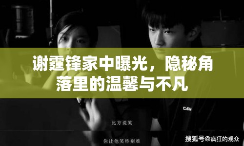 謝霆鋒家中曝光，隱秘角落里的溫馨與不凡