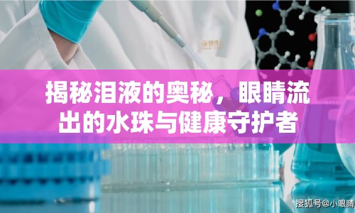 揭秘淚液的奧秘，眼睛流出的水珠與健康守護(hù)者