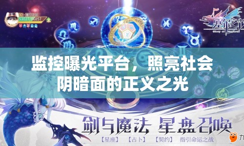 監(jiān)控曝光平臺，照亮社會陰暗面的正義之光