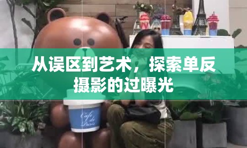 從誤區(qū)到藝術(shù)，探索單反攝影的過曝光