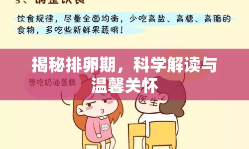 揭秘排卵期，科學(xué)解讀與溫馨關(guān)懷