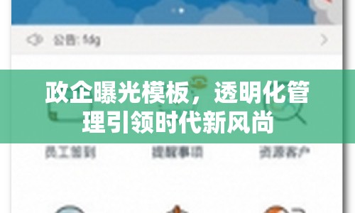 政企曝光模板，透明化管理引領(lǐng)時(shí)代新風(fēng)尚