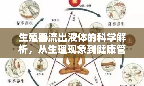 生殖器流出液體的科學(xué)解析，從生理現(xiàn)象到健康管理