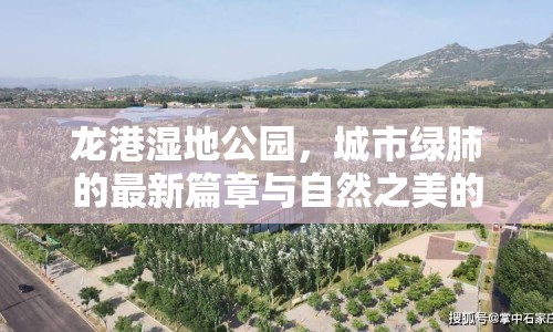 龍港濕地公園，城市綠肺的最新篇章與自然之美的探索