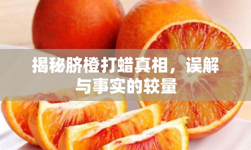 揭秘臍橙打蠟真相，誤解與事實的較量