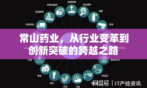 常山藥業(yè)，從行業(yè)變革到創(chuàng)新突破的跨越之路