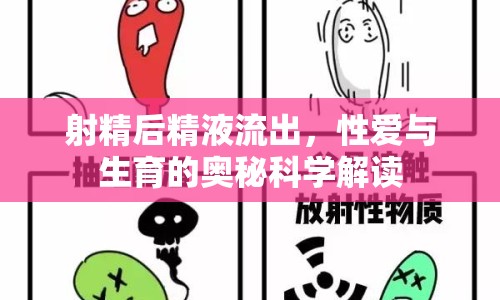 射精后精液流出，性愛與生育的奧秘科學(xué)解讀