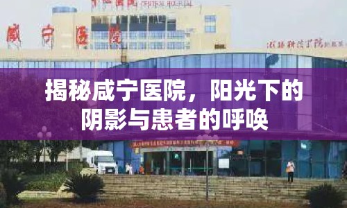 揭秘咸寧醫(yī)院，陽光下的陰影與患者的呼喚