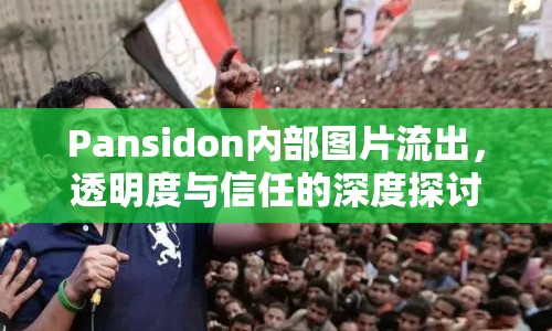 Pansidon內(nèi)部圖片流出，透明度與信任的深度探討