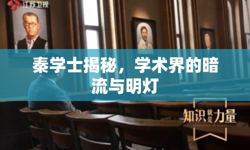 秦學士揭秘，學術(shù)界的暗流與明燈