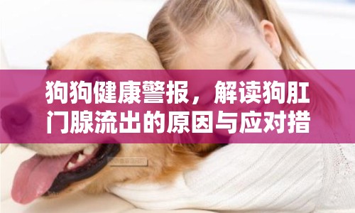 狗狗健康警報(bào)，解讀狗肛門腺流出的原因與應(yīng)對(duì)措施