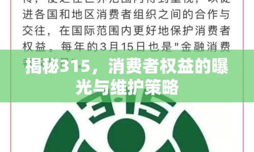 揭秘315，消費(fèi)者權(quán)益的曝光與維護(hù)策略