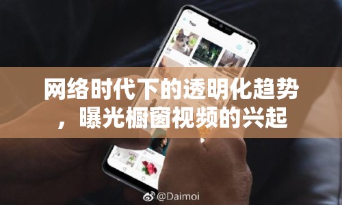 網(wǎng)絡(luò)時代下的透明化趨勢，曝光櫥窗視頻的興起