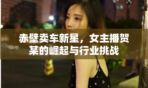 赤壁賣車新星，女主播賀某的崛起與行業(yè)挑戰(zhàn)