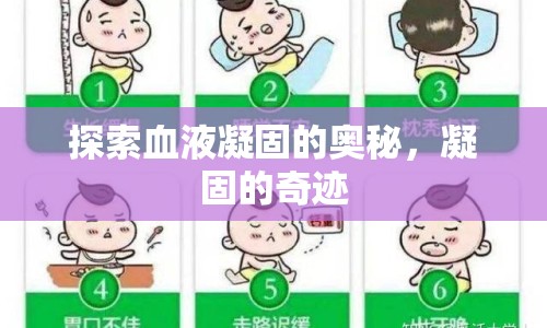 探索血液凝固的奧秘，凝固的奇跡