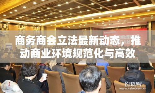 商務(wù)商會立法最新動(dòng)態(tài)，推動(dòng)商業(yè)環(huán)境規(guī)范化與高效化發(fā)展