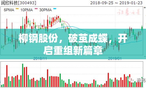 柳鋼股份，破繭成蝶，開啟重組新篇章