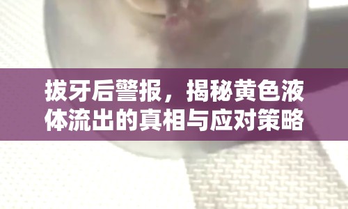 拔牙后警報(bào)，揭秘黃色液體流出的真相與應(yīng)對策略