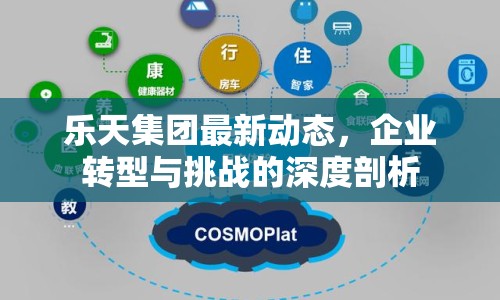 樂天集團(tuán)最新動態(tài)，企業(yè)轉(zhuǎn)型與挑戰(zhàn)的深度剖析