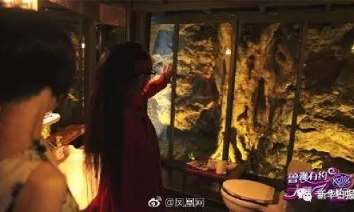 鄧婕豪宅曝光，揭開明星生活的神秘面紗