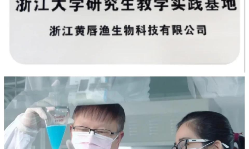 液體從胖次流出網(wǎng)站的奇妙現(xiàn)象與探索