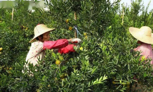 攝影藝術(shù)中的長(zhǎng)曝光操作探索