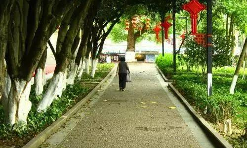 征地問(wèn)題揭秘，探尋真相與解決之道