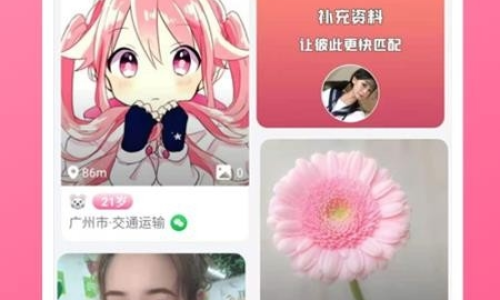 深夜福利軟件網(wǎng)網(wǎng)站下載:深夜下載的誘惑