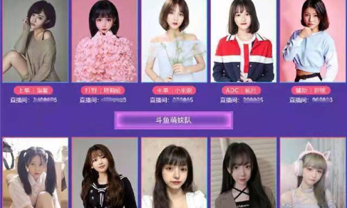探索私房付費(fèi)女主播在線觀看，一場視覺盛宴的深度體驗(yàn)