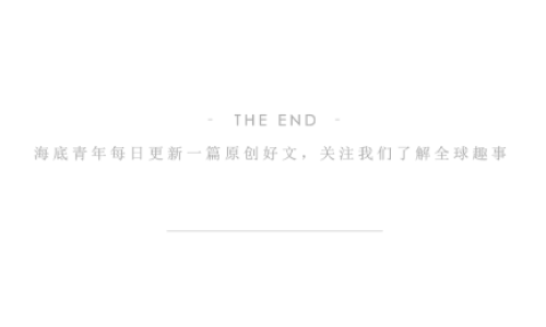 電子書深夜福利:電子書的便捷性，隨時隨地，隨心所欲