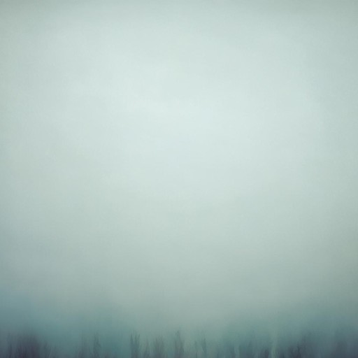 專業(yè)溫情伴椰風(fēng)——海南衛(wèi)視天氣主播的守護(hù)