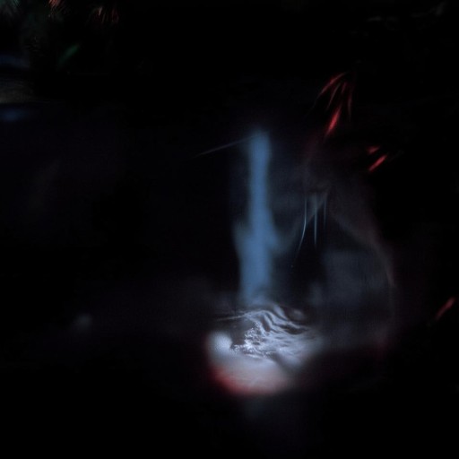 水杯調換事件，直播間背后的人性審判，（直接聚焦核心沖突，保留人性審判的隱喻力度）